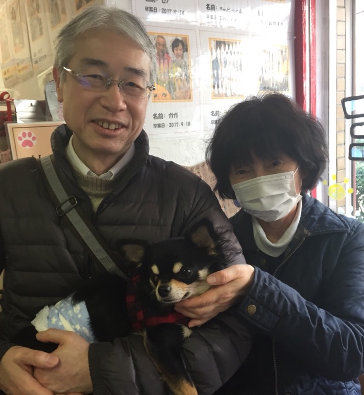 【運命の赤い糸見～つけた💓チワワのジェット君💕、マンチカンのモモちゃん💕】
